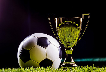 导致其在 导致其在