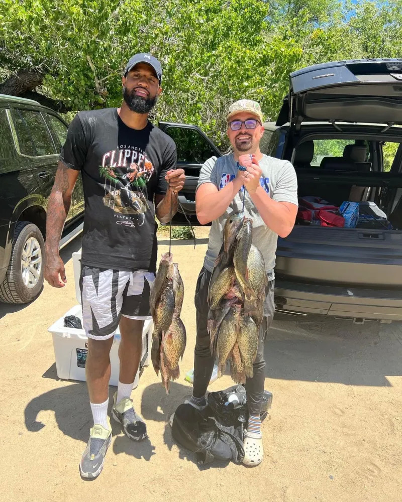 限的资助义 限的资助义