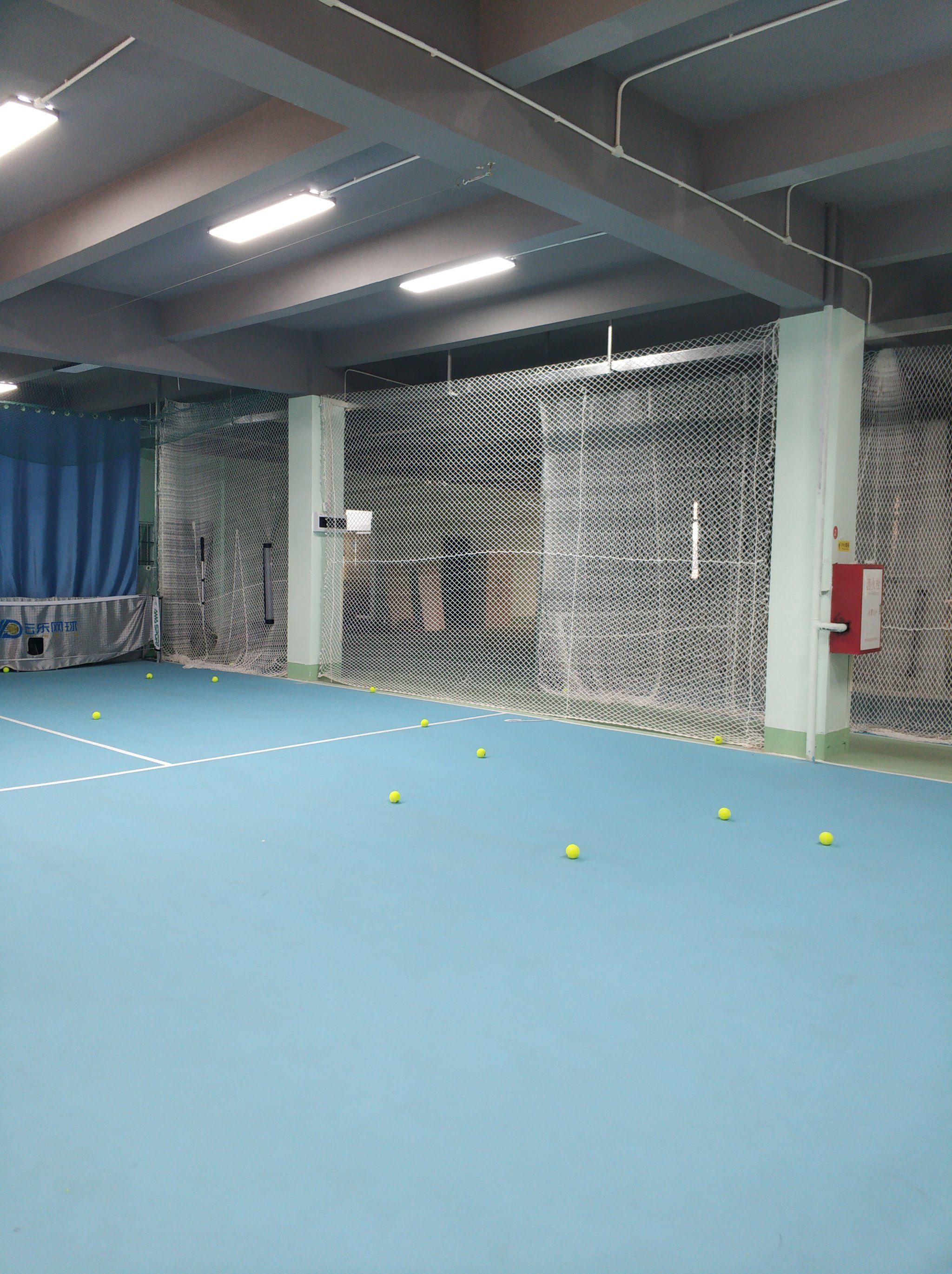 无疑增强了 无疑增强了