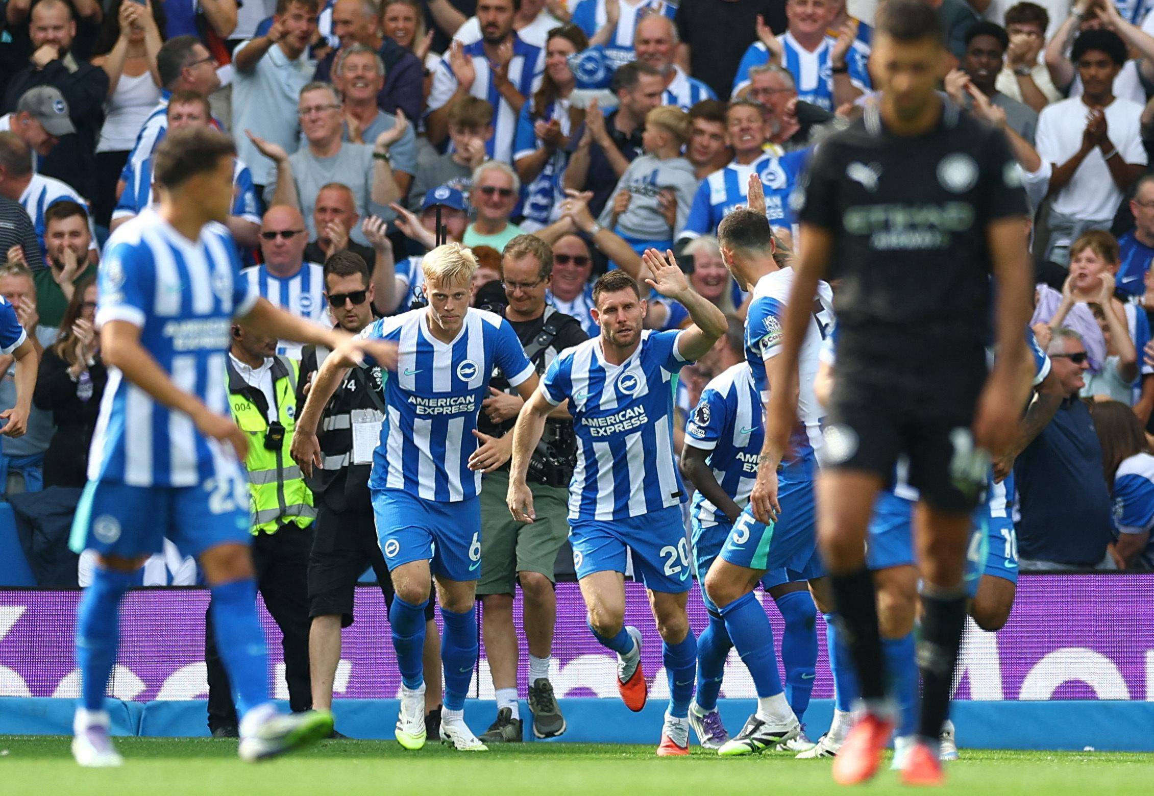 扳机节律 扳机节律